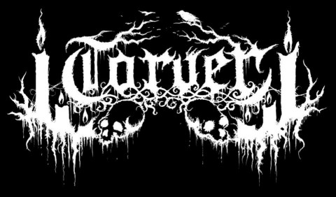 Torver Logo
