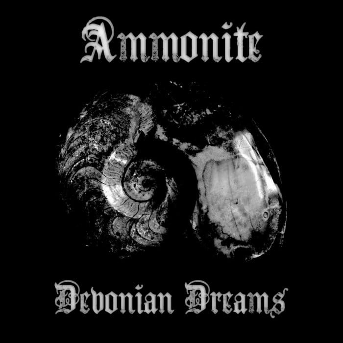 Ammonite