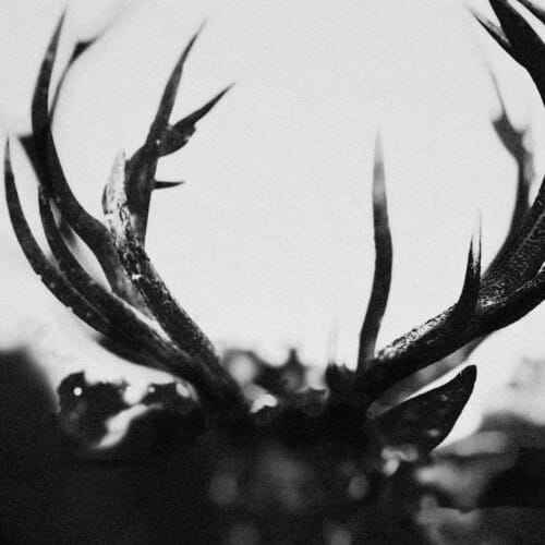 Review: Ihsahn - IHSAHN
