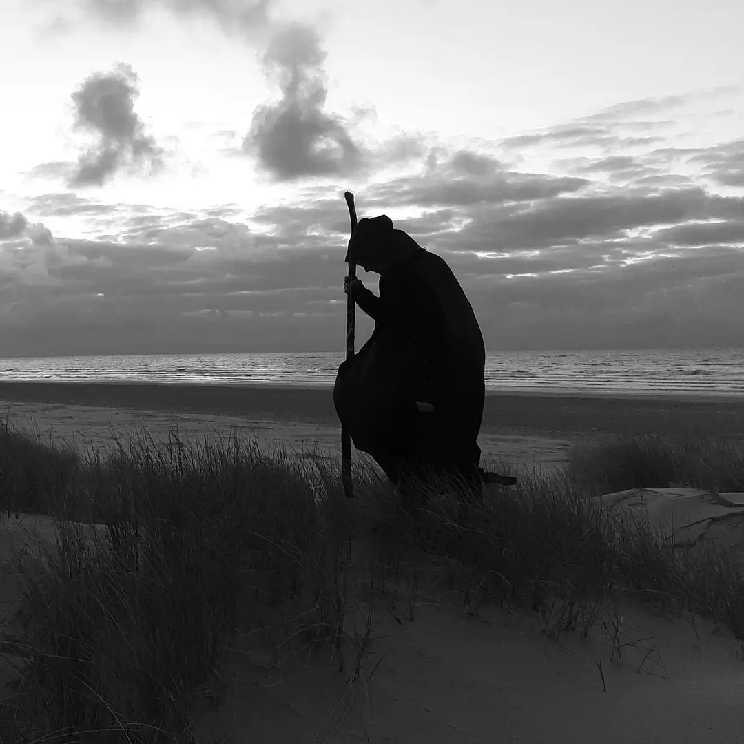 Interview: NORTFALKE