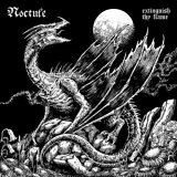 Interview: Noctule