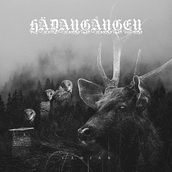 Review: Hädangången - Vädjan (2026)