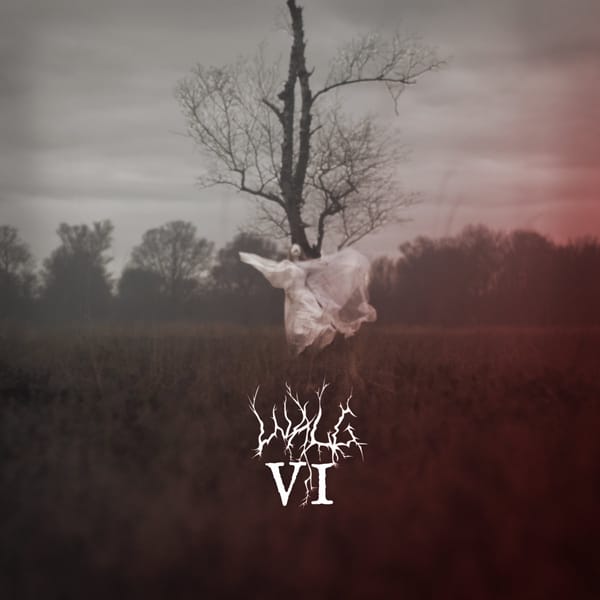 Review: Walg - VI (2026)