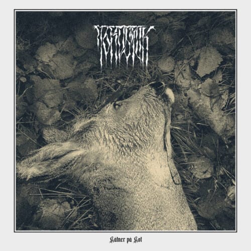 Review: Jordsjuk - Råtner på Rot